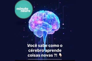 Descubra como o cérebro aprende coisas novas!