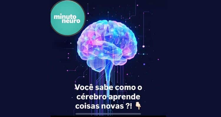 Descubra como o cérebro aprende coisas novas!